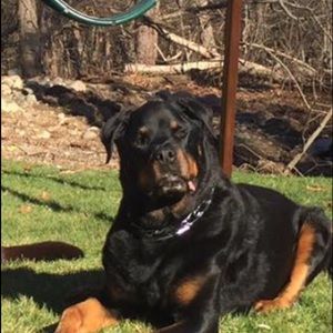 Meet your Posher, Kim